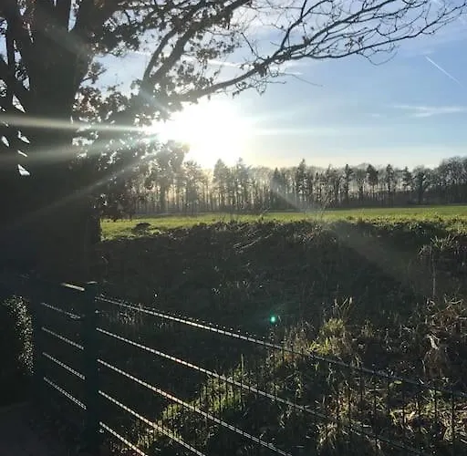 Direkt An Der Hase Quakenbrück